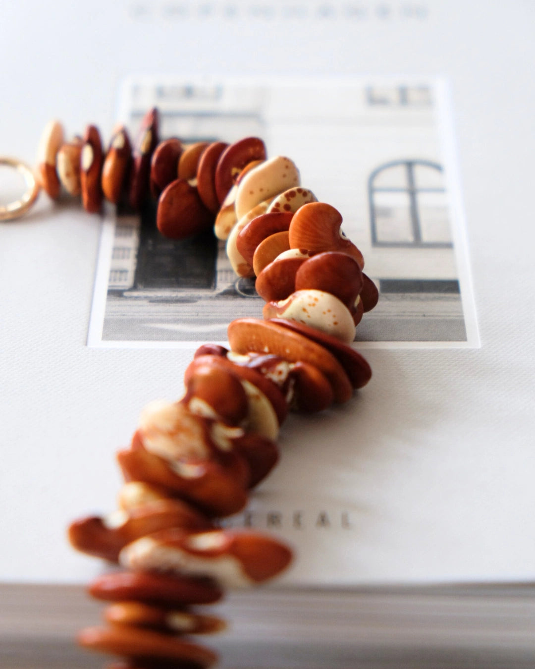 Collar Agnes | Terracota